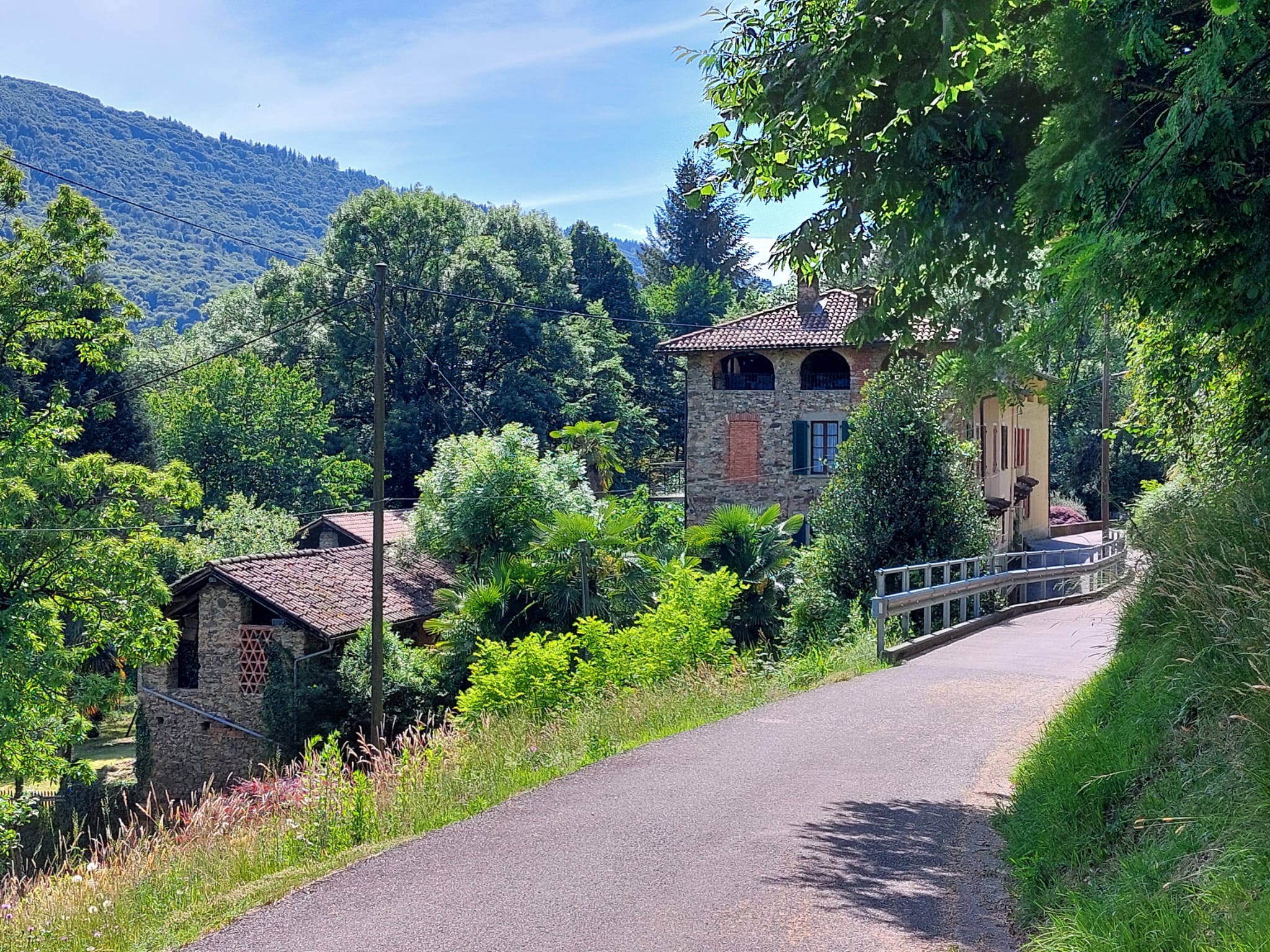 Casa Edera im Sommer, umgeben von bewaldeten Hügeln des Malcantone